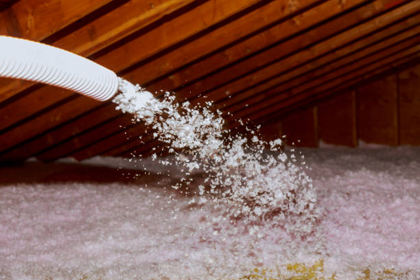 Best Insulation Repair Services  in Lake Jackson, TX